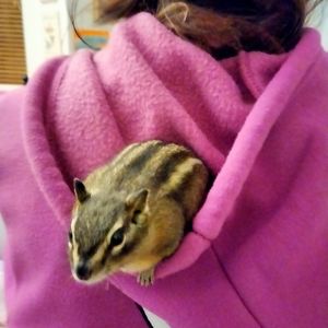 Meet your Posher, Kevin & Shawnna